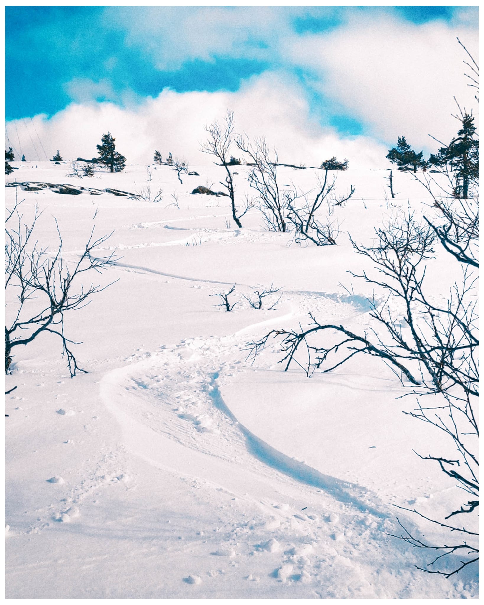 Huhkamäki – Retkipaku, reissut ja luonto