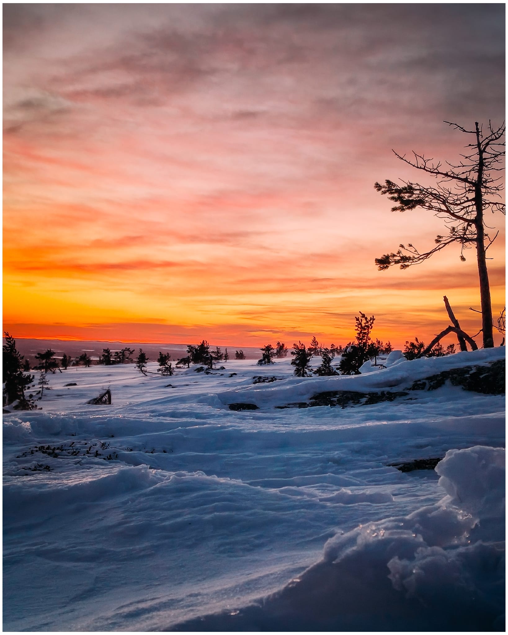 Huhkamäki – Retkipaku, reissut ja luonto