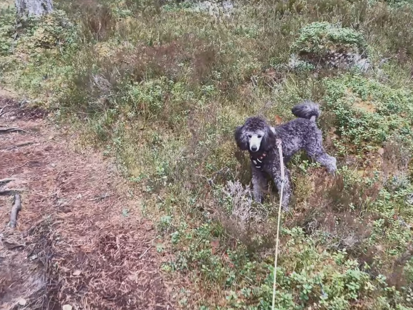 Huhkamäki – Retkipaku, reissut ja luonto