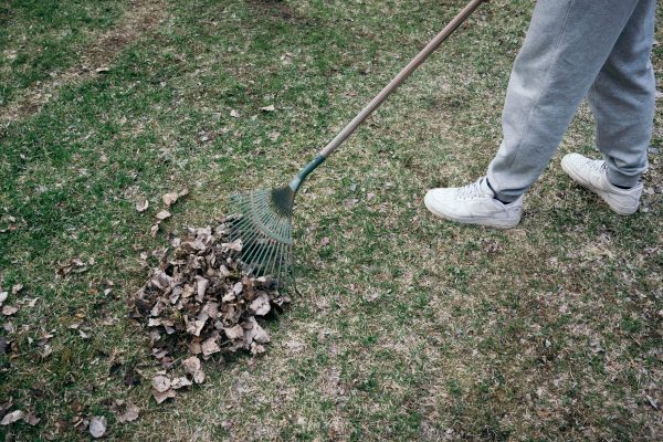 Pihatyöt Ylöjärvi. Nurmikon leikkuu, trimmeröinti, nuorten tekemä pihatyöapu